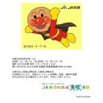 JA共済プレゼンツ　それいけ！アンパンマンミニショー＆握手会